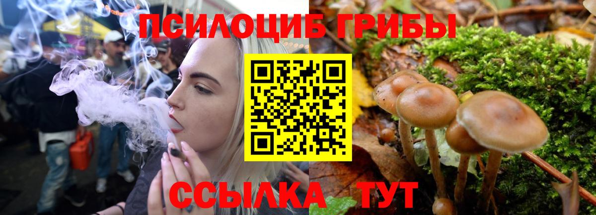 Брянск  где продают наркотики  Вход с VPN  Галлюциногенные грибы прущие грибы 